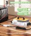 Noeifevo 29.2V 30A LiFePO4 Caricabatteria per 24V 25.6V LiFePO4 Batteria