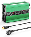 NOEIFEVO 16.8V 5A 6A 7A 8A 10A Caricabatterie al Litio per Batterie Li-Ion Lipo 4S 14.8V, Ventola di Raffreddamento, Spegnimento Automatico (VERDE)